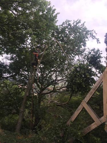 weatheral-tree-surgery-and-garden-landscaping