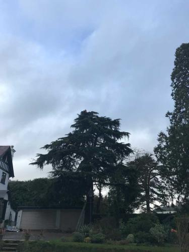 weatheral-tree-surgery-and-garden-landscaping