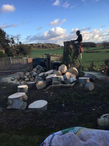 weatheral-tree-surgery-and-garden-landscaping