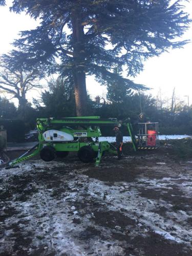 weatheral-tree-surgery-and-garden-landscaping